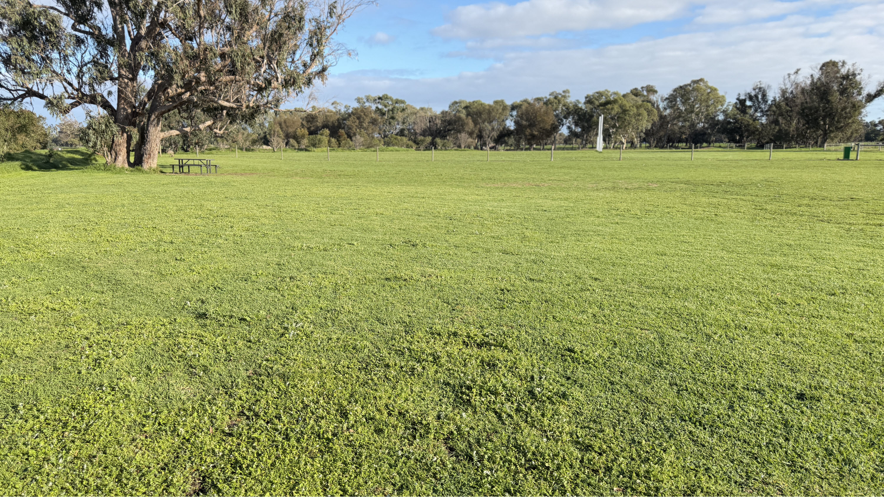 Off-Lead Dog Exercise Area